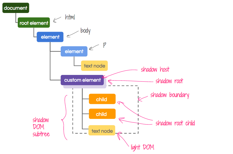 Text node. Shadow dom. Declarative Shadow dom. Что такое теневой dom. Самый старший элемент dom.