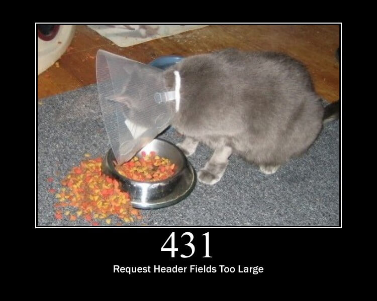 429 Too Many Requests - HTTP status code and cats!